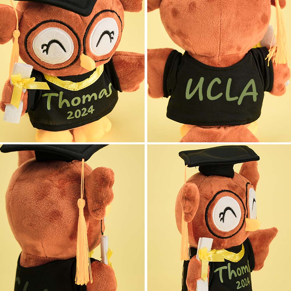 Personalised Graduation Owl Plush | Custom Name & Year Teddy Gift | Class of 2026 Graduate Keepsake | Cute Graduation Gift